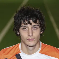 Picchioni