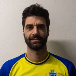 Mendini