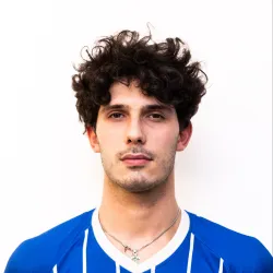 Minelli L.