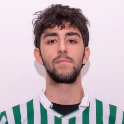 Tosini