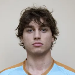 Varinelli