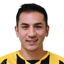 Marini