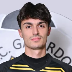 Pelizzari