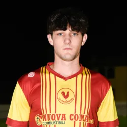 Arrigoni
