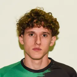 Gambarini