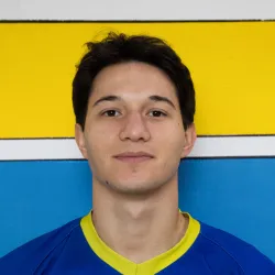 Stefanescu