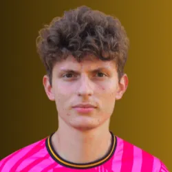 Gottardi