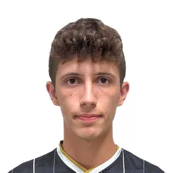 Mainardi