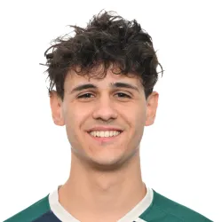 Zontini