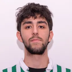 Tosini