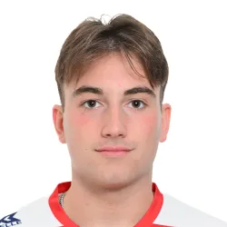 Baruzzi