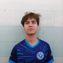 Gavioli