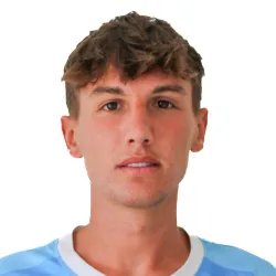 Visini