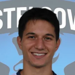 Stefanescu