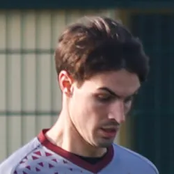 Bardelloni