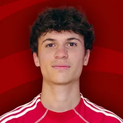 Lesi