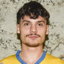 Damiolini