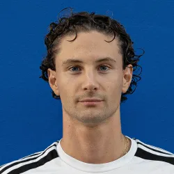 Mainardi