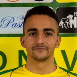 Venturini N.