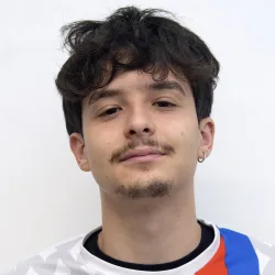 Falsina
