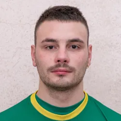 Vasini