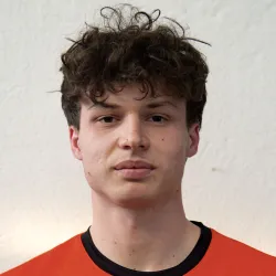 Gipponi