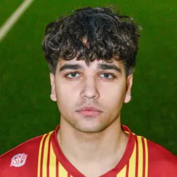 Bassi