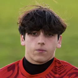 Brusinelli
