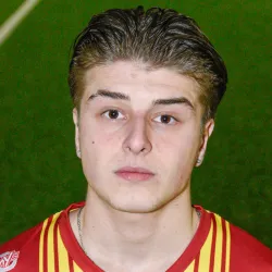 Hodzic