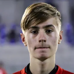 Vucenovic