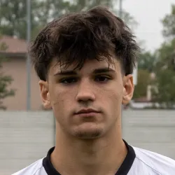 Zontini