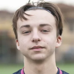 Ballini