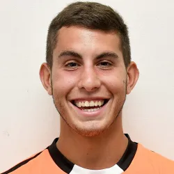 Pioselli