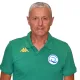 profilo Team manager