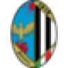 Logo Suzzara
