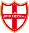 Bassa Bresciana