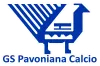 Logo scudetto Pavoniana Gymnasium