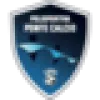 Logo Ponte Calcio