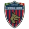 Logo Cosenza
