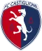 Logo Castiglione