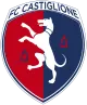 Logo Castiglione