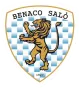 Logo Benaco Salò