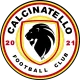 Logo Calcinatello
