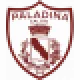 Logo Paladina